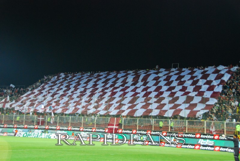 rapid patratele