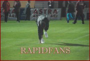 <<->> APASA pentru FOTO la dimensiunea mare <<->> <<->> 2009.03.21 Rapid Otelul 008