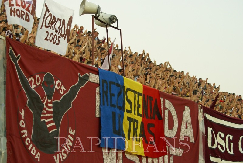 rapid maini